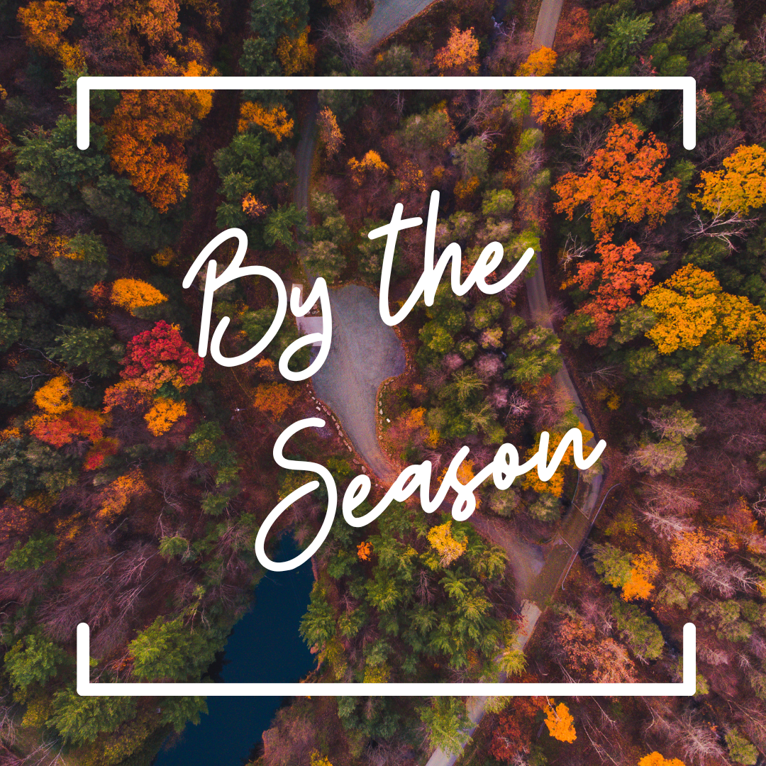 An aerial view of trees in the fall. Text reads "By the Season"